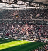 A packed sports stadium filled with enthusiastic fans waving flags and banners. The crowd is dense, showcasing a dynamic and lively atmosphere. Sunlight filters through the stadium roof, casting patterns on the green field below.