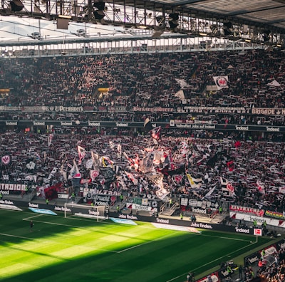 A packed sports stadium filled with enthusiastic fans waving flags and banners. The crowd is dense, showcasing a dynamic and lively atmosphere. Sunlight filters through the stadium roof, casting patterns on the green field below.